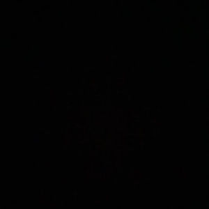 Meet your Posher, Alan